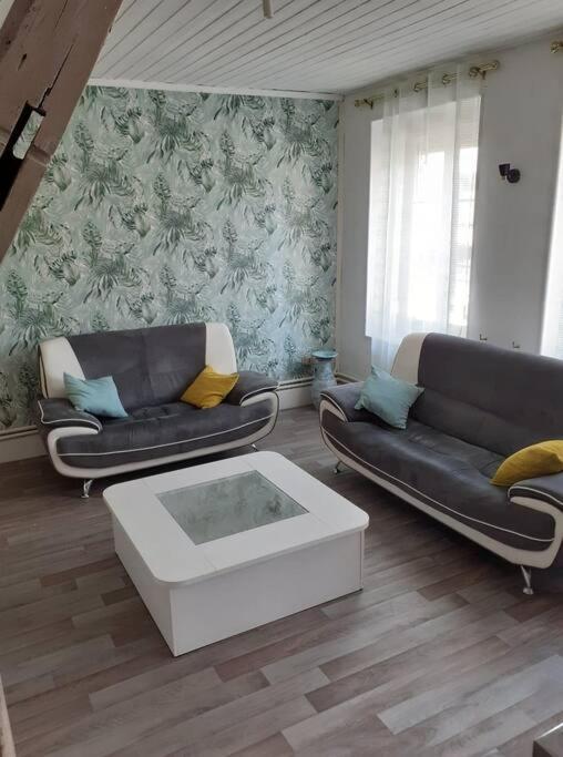 Super Logement En Plein Coeur De La Ville , Chez Tify Brienne-le-Chateau Luaran gambar